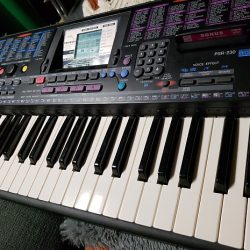 Đàn organ Yamaha PSR-230 1 PSR 230