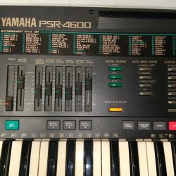 Đàn organ Yamaha PSR-4600 3 PSR 4600 2