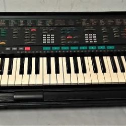 Đàn organ Yamaha PSR-4600 1 PSR 4600