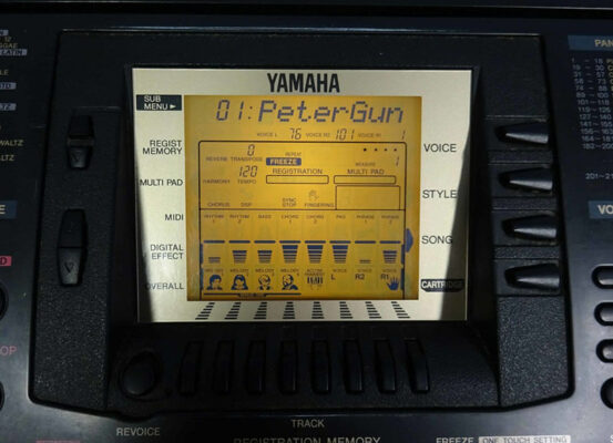 Đàn organ Yamaha PSR-530PC