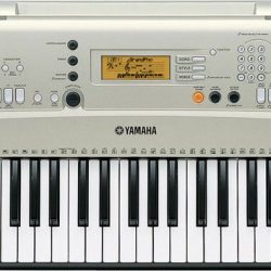 Đàn organ Yamaha PSR-E313 1 PSR E313 2