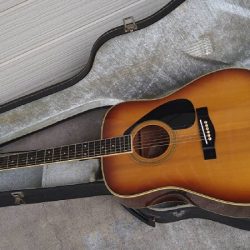 Đàn Guitar Yamaha FG-250 2 Yamaha FG 250