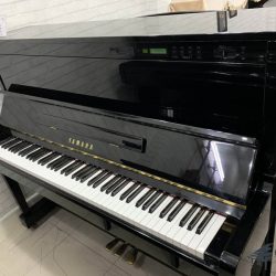 Yamaha SX101BL