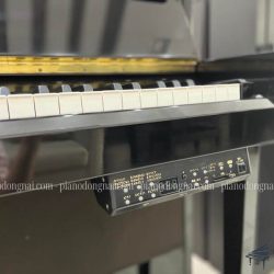 Đàn Piano Điện Yamaha DUP-20 2 yamaha-dup20