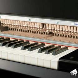 Đàn Piano Yamaha AvantGrand N3 4 yamaha_avantgrand_n3