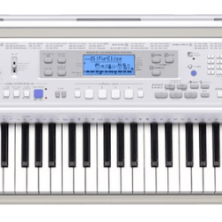 Đàn Organ Casio CTK-810 2 CTK810
