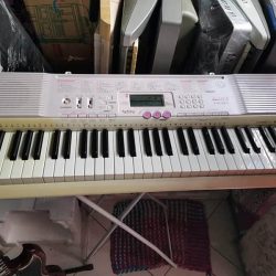 Đàn Organ Casio LK 107 1 LK107