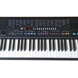 Đàn organ Yamaha PSR-310M 3 PSR 310 1