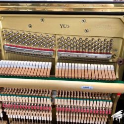Yamaha-YU5