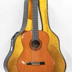 Đàn Guitar Yamaha G-120 1 Yamaha G 120