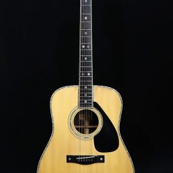 Đàn Guitar Yamaha L-41 1 Yamaha L 41