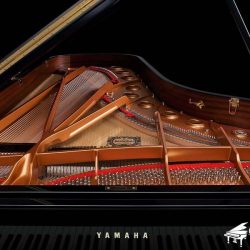 dan-grand-piano-yamaha-cfx