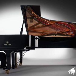 dan-grand-piano-yamaha-cfx