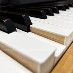dan-piano-roland-dp603