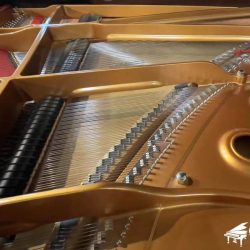 Đàn Piano Cơ Yamaha CF6 1 grand-piano-yamaha-CF6