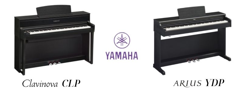 Dan-piano-dien-Yamaha CLP-va-YDP