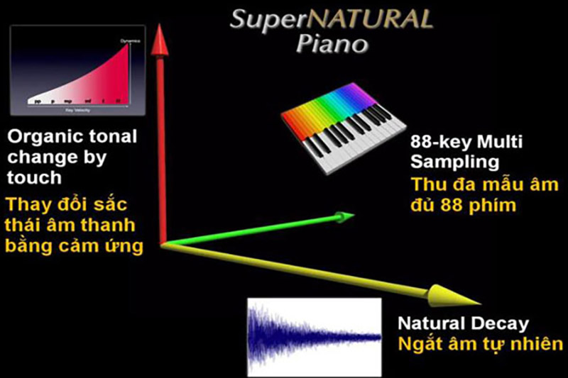 cong nghe superNatural