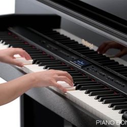 Đàn Piano Điện Roland LX-10F 4 piano-dien-roland-lx-10f