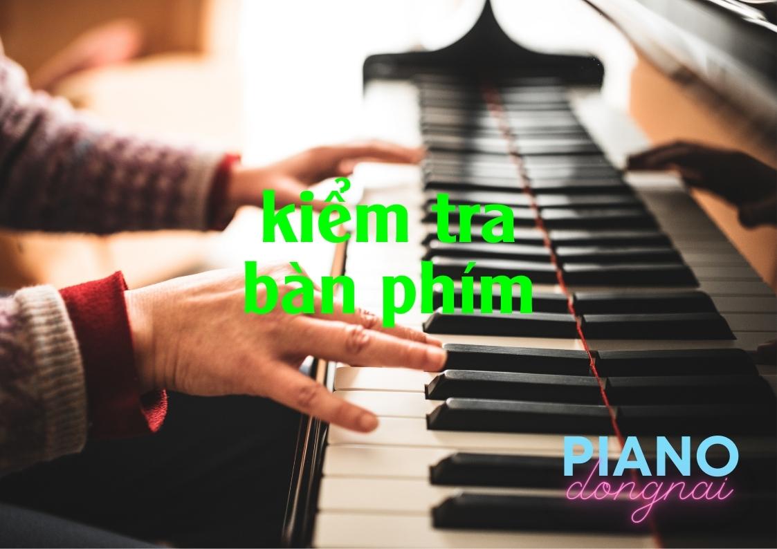 Piano điện cũ – Lưu ý khi mua đàn Piano điện secondhand phần 2 8 mua đàn piano điện secondhand