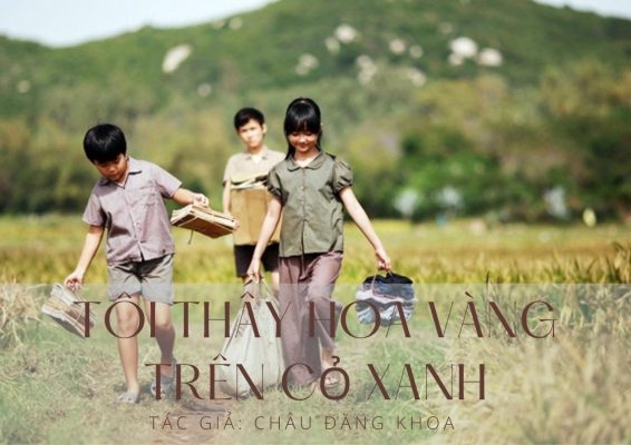 Toi thay Hoa Vang Tren co xanh