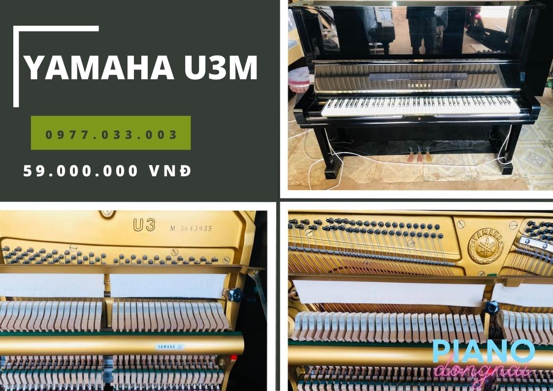Piano cơ Yamaha U3M đẹp không tì vết 8 yamaha u3m 1