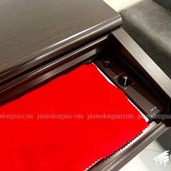 Đàn Piano Điện Yamaha YDP-145 4 yamaha-ydp-145