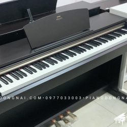 yamaha-ydp-161