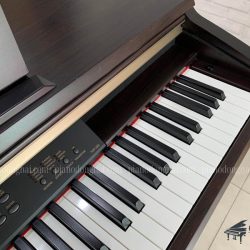 yamaha-ydp-223