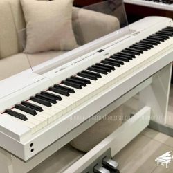 dan-piano-dien-yamaha-p255