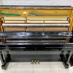 Đàn Piano Cơ Steinrich S10 3 Đàn Steinrich S10