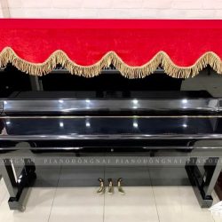 Đàn Piano Cơ Steinrich S10 2 Đàn piano Steinrich S10