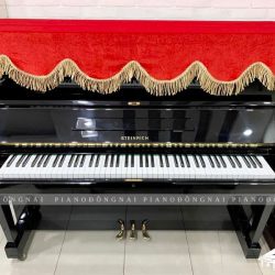 Đàn piano cơ Steinrich S10
