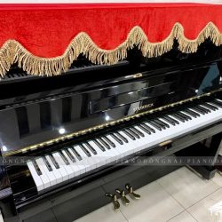 Đàn Piano Cơ Steinrich S10 1 Piano cơ Steinrich S10