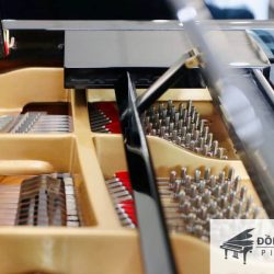 DAN PIANO CO GRAND