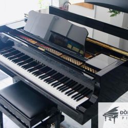 DAN PIANO CO GRAND YAMAHA C3B