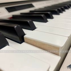 Đàn piano Roland LX7GPMW