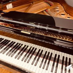 YAMAHA C5 1 GRAND C5