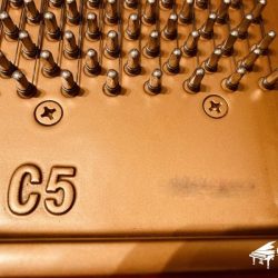 YAMAHA C5 3 GRAND PIANO C5