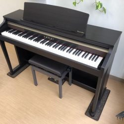 KAWAI CA17R