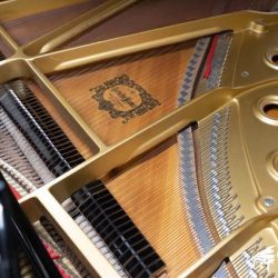 YAMAHA C5B 3 YAMAHA C5B