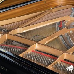 YAMAHA C6 2 Yamaha-c6