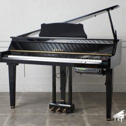 dan-piano-Yamaha-DGP-2XG