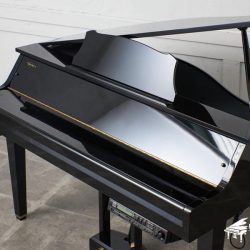 piano điện Yamaha DGP-2XG