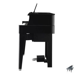 Đàn Piano Điện Yamaha N1X 7 Hybrid_N1X