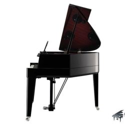 Yamaha avant grand n3x