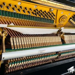 Đàn Piano Cơ Diapason 132 5 piano-co-nhat-ban-diapason-no132
