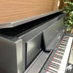 Đàn Piano Điện Roland LX708GP 2 piano-dien-roland-lx708gp