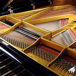 Đàn Grand Piano Apollo A35 1 APOLLO A35