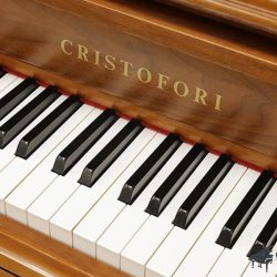 Đàn Piano Cơ Cristofori CR110W 1 Cristofori-CR110W