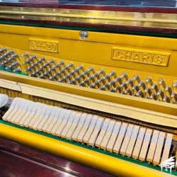 Piano-Co-Charis-AH20